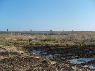 Ferienhaus Egense  27