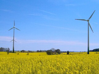 Casa per le vacanze Grömitz  8