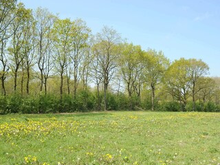 Maison de vacances Ansager  26