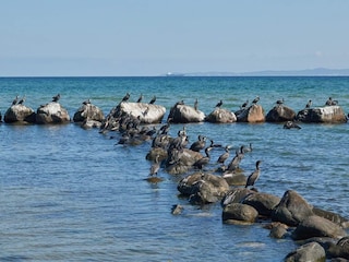 Casa de vacaciones Gilleleje  34