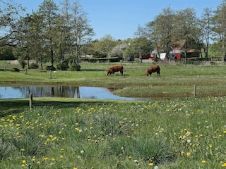 Casa de vacaciones Vesløs  29