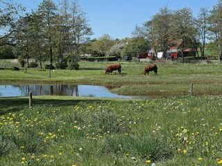 Vakantiehuis Vesløs  17