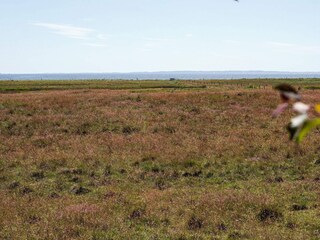 Holiday house Vesløs  19