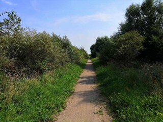 Maison de vacances Vesløs  25