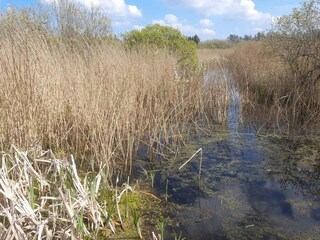 Vakantiehuis Vesløs  27
