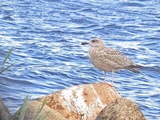 Maison de vacances Fjand  24