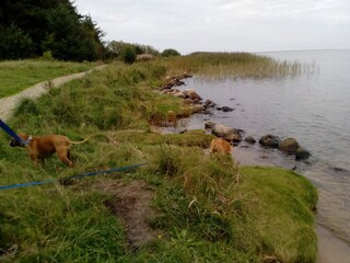 Vakantiehuis Fjand  16