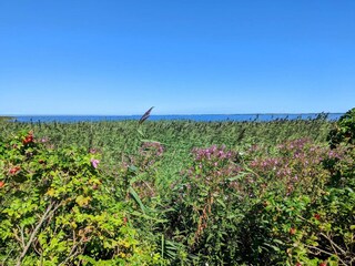 Casa per le vacanze Fjand  32