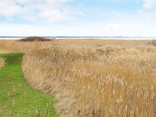 Vakantiehuis Thorsminde  4