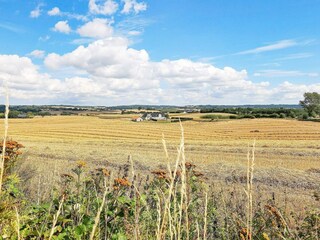 Appartement Millinge  24