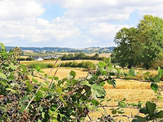 Appartement Millinge  16