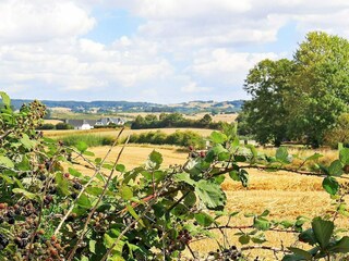 Appartement Millinge  27