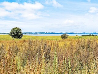 Apartment Millinge  25