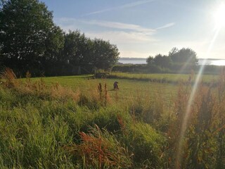 Casa per le vacanze Nibe  15