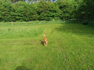 Casa per le vacanze Nibe  17