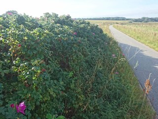 Casa per le vacanze Nibe  18