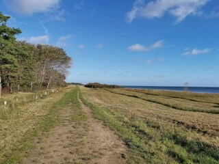 Casa de vacaciones Vaeggerløse  22