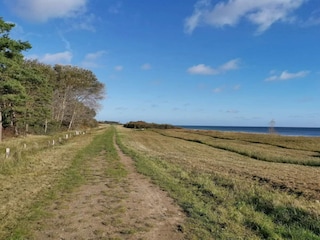 Ferienhaus Vaeggerløse  25