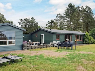Vakantiehuis Skanderborg Buitenaudio-opname 3