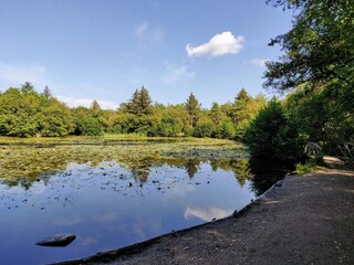 Maison de vacances Tversted  32