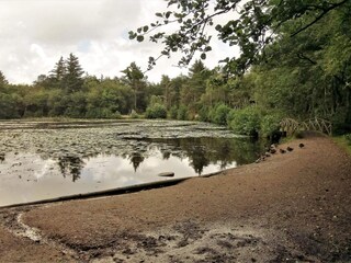 Maison de vacances Tversted  37