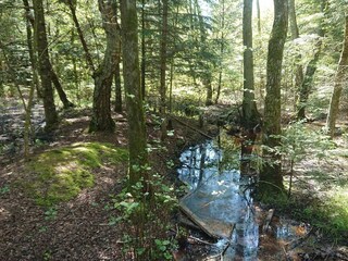 Maison de vacances Tversted  12