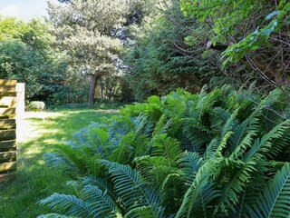 Vakantiehuis Blokhus  10