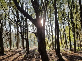 Casa de vacaciones Blokhus  32