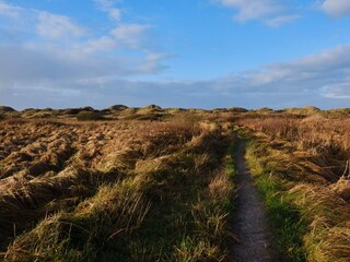 Ferienhaus Blokhus  4
