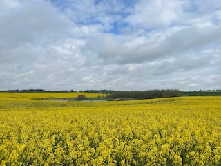 Vakantiehuis Vorupør  34