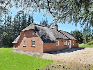 Ferienhaus Vester Husby Außenaufnahme 4