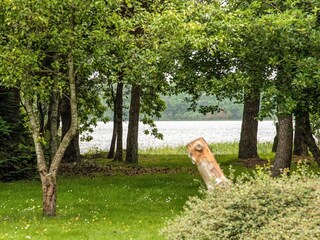 Casa per le vacanze Ansager  19