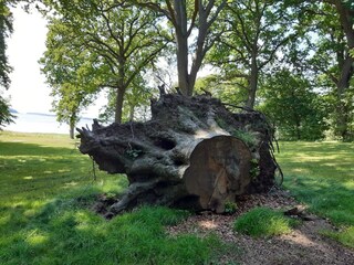 Maison de vacances Südwestseeland  22