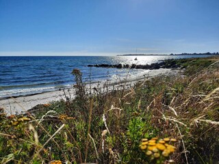 Casa per le vacanze Südwestseeland  19