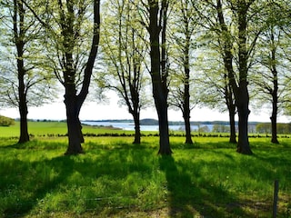Casa per le vacanze Südwestseeland  21