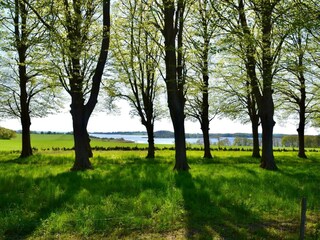 Vakantiehuis Südwestseeland  19