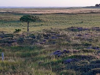 Ferienhaus Havneby  20