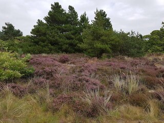 Ferienhaus Havneby  20