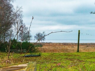 Holiday house Ørsted  10