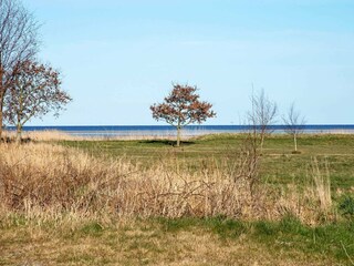 Vakantiehuis Ørsted  5