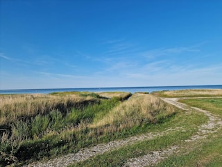 Ferienhaus Ørsted  28