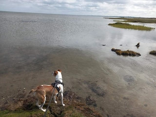 Ferienhaus Ørsted  32