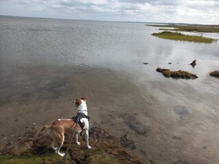 Vakantiehuis Ørsted  32