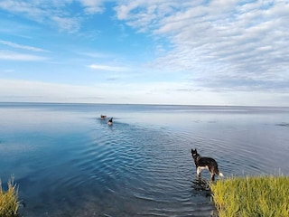Ferienhaus Ørsted  34