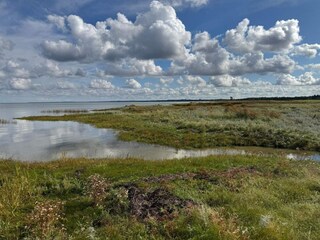 Casa de vacaciones Ørsted  37