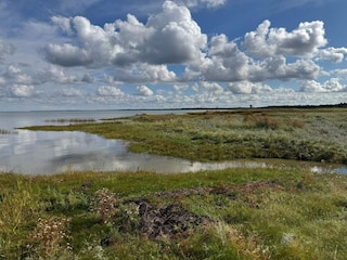 Ferienhaus Ørsted  36