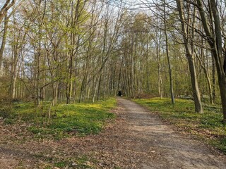 Vakantiehuis Fåborg  29