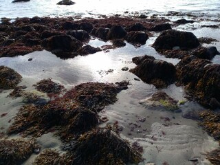 Casa de vacaciones Fåborg  33