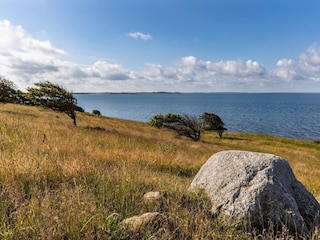 Ferienhaus Martofte  14
