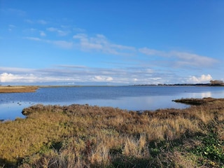 Vakantiehuis Martofte  38